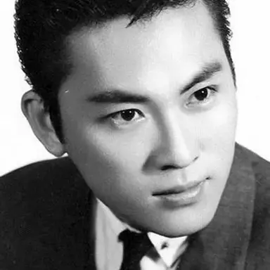 Chin Han