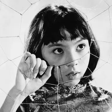 Lynne Sue Moon