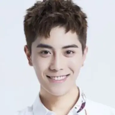 Feng Lijun