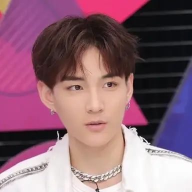 Li Xin Yi