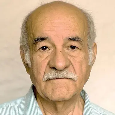 Saeed Poursamimi