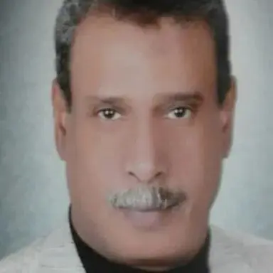 Mahmoud Bashir