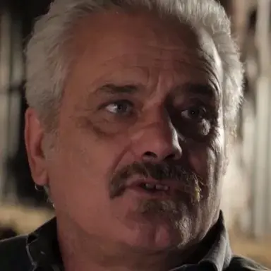 Marco Stefanelli