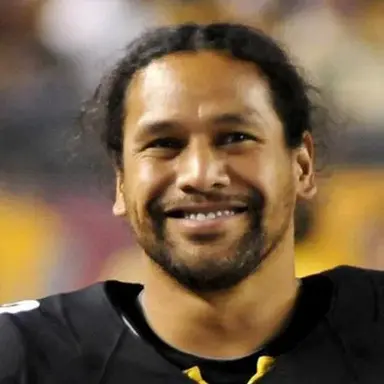 Troy Polamalu