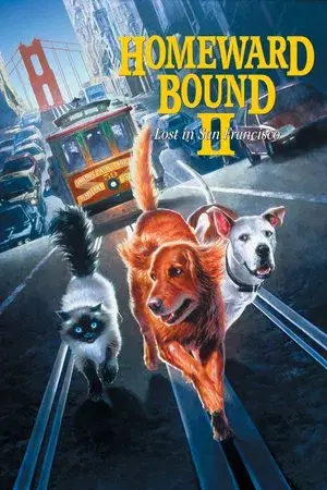 movie