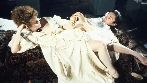 The Draughtsman's Contract