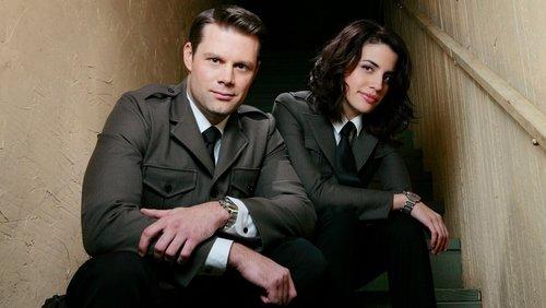 The Middleman