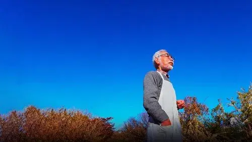 Hayao Miyazaki and the Heron