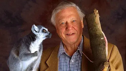 The Life of Mammals