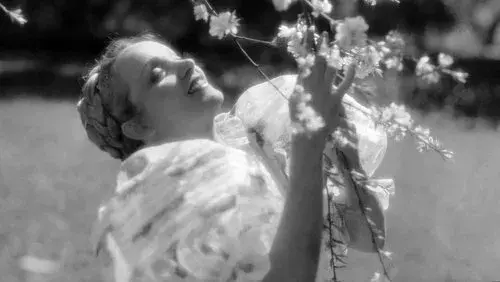 The Song of Songs