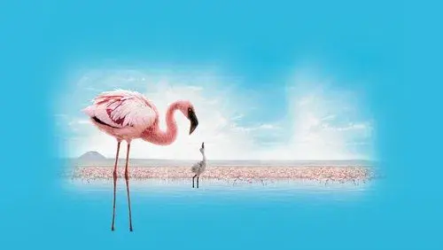 The Crimson Wing: Mystery of the Flamingos