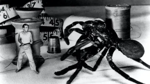 The Incredible Shrinking Man