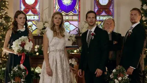 Christmas Wedding Planner