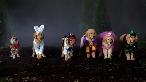 Spooky Buddies