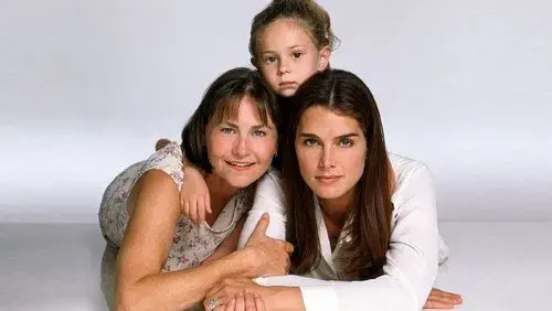 What Makes a Family