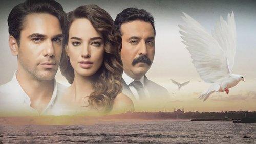 Wings of Love