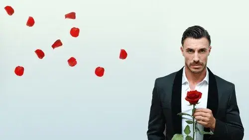 The Bachelor bTV