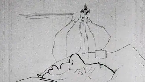 How a Mosquito Operates