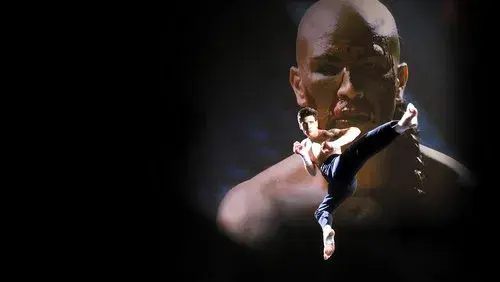 Kickboxer 4: The Aggressor
