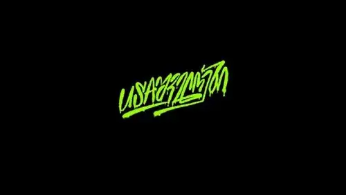 USAshveloebi