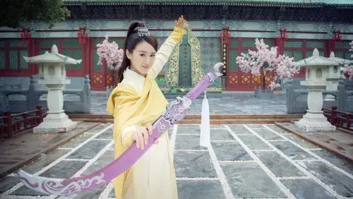 The Legend of Flying Daggers
