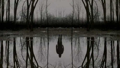 The Outsider