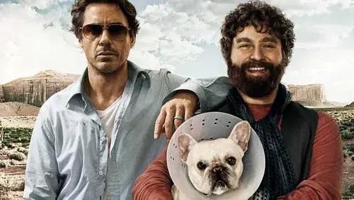 Due Date