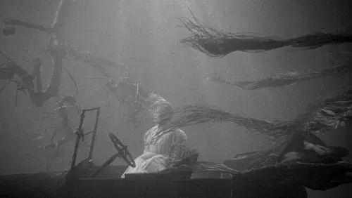 The Night of the Hunter