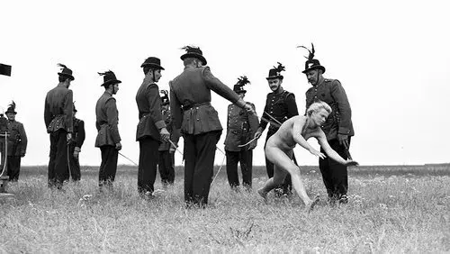 The Round-Up