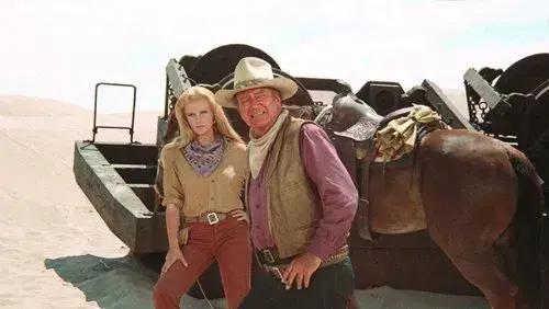 The Train Robbers