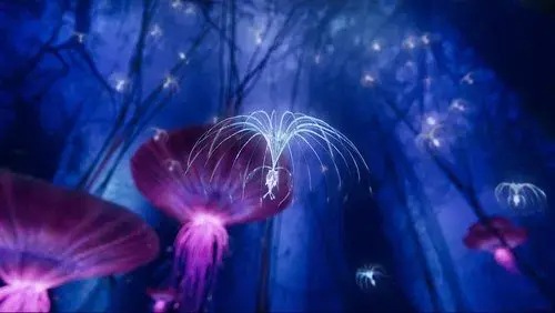 Avatar: Creating the World of Pandora