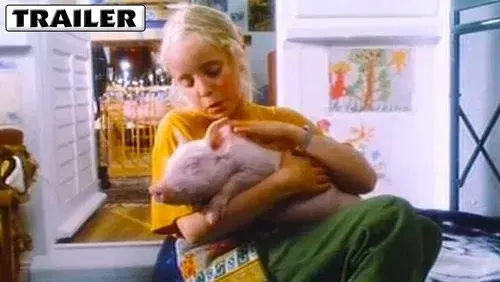 Rudy, the Racing Pig