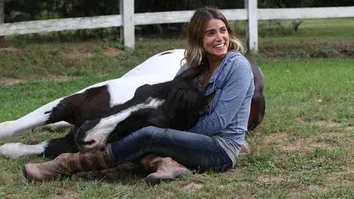 A Sunday Horse