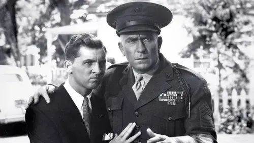 Hail the Conquering Hero