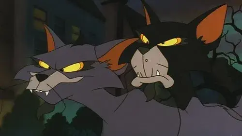 Felidae