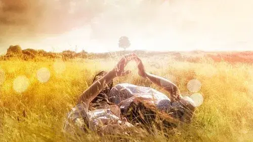 The History of Love
