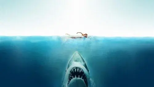 Jaws