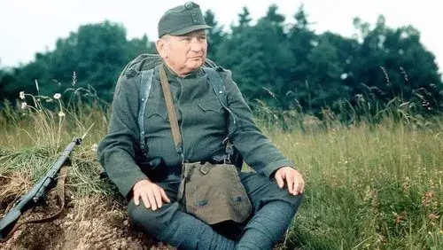 The Adventures of the Good Soldier Schwejk