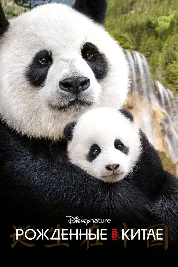 Born in China