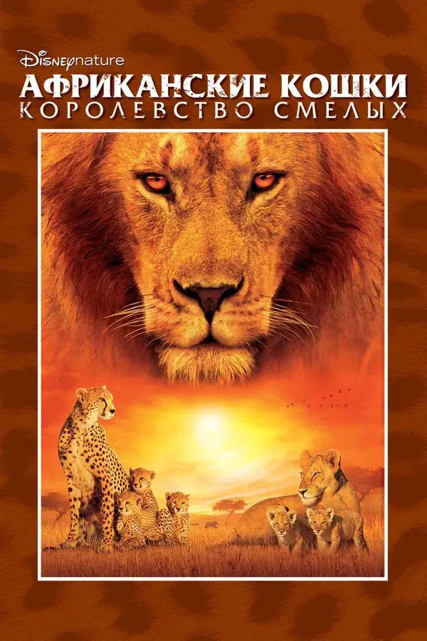 African Cats