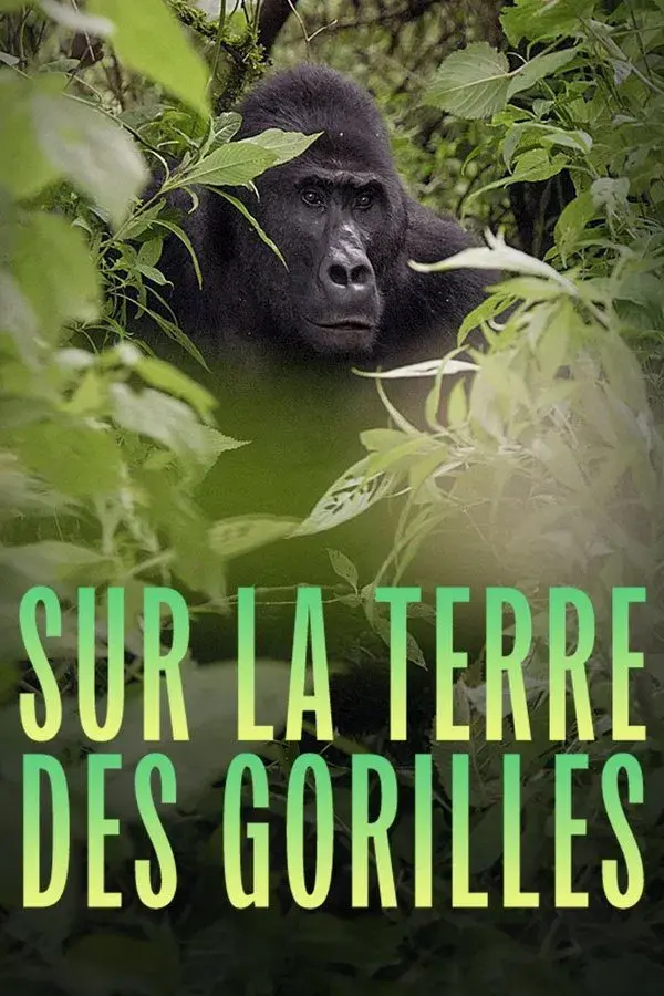Silverback