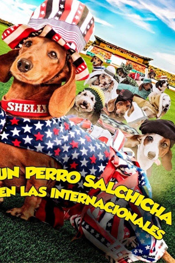 Wiener Dog Internationals