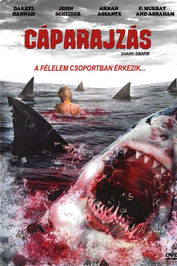 Shark Swarm