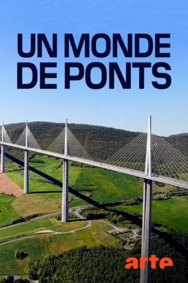 The World of Bridges